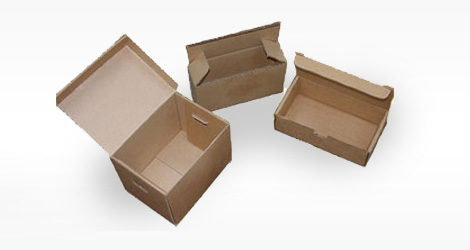 Die-Cut Carton Box 