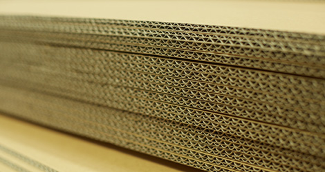 Single Face Rolls / Corrugated Boards 